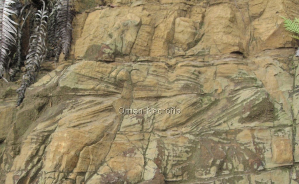 Blog Geologi Malaysia Herringbone Cross Stratification in Miri Formation
