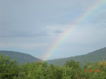 Rainbow in the backyard