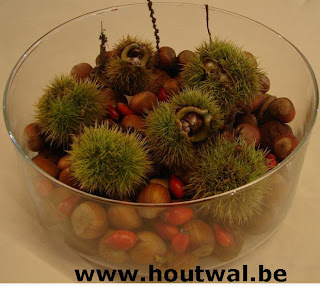 28 Best Spatty Images Peace Lily Plants House Plants