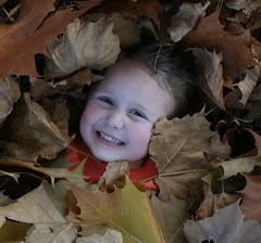 McKinley in the Leaves