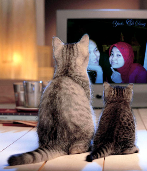 [PhotoFunia_ae6.jpg]