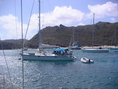 ST. BARTH 5. La reserva de las tortugas