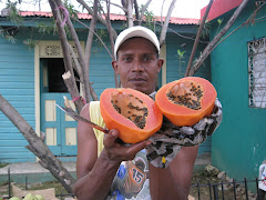 REP DOM 9 Papaya abierta