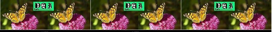 +*~~l~~*+