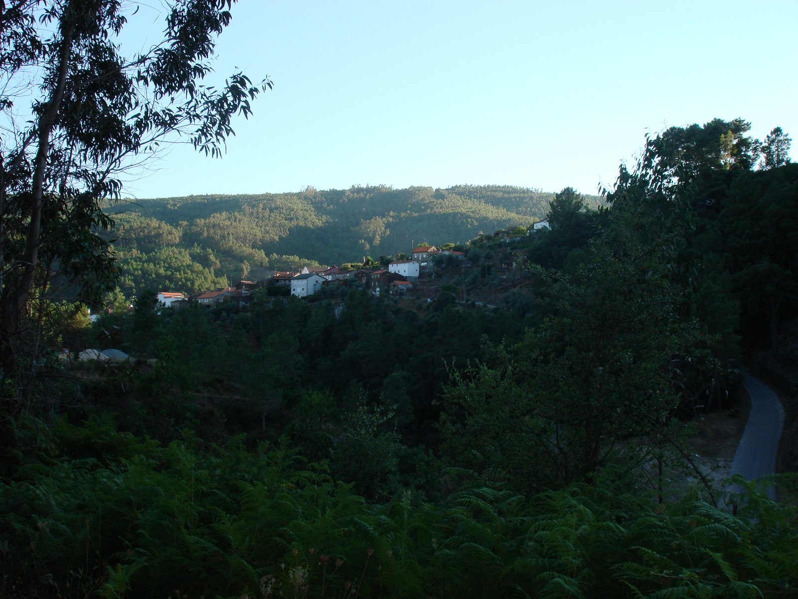 [DSC01456.JPG]