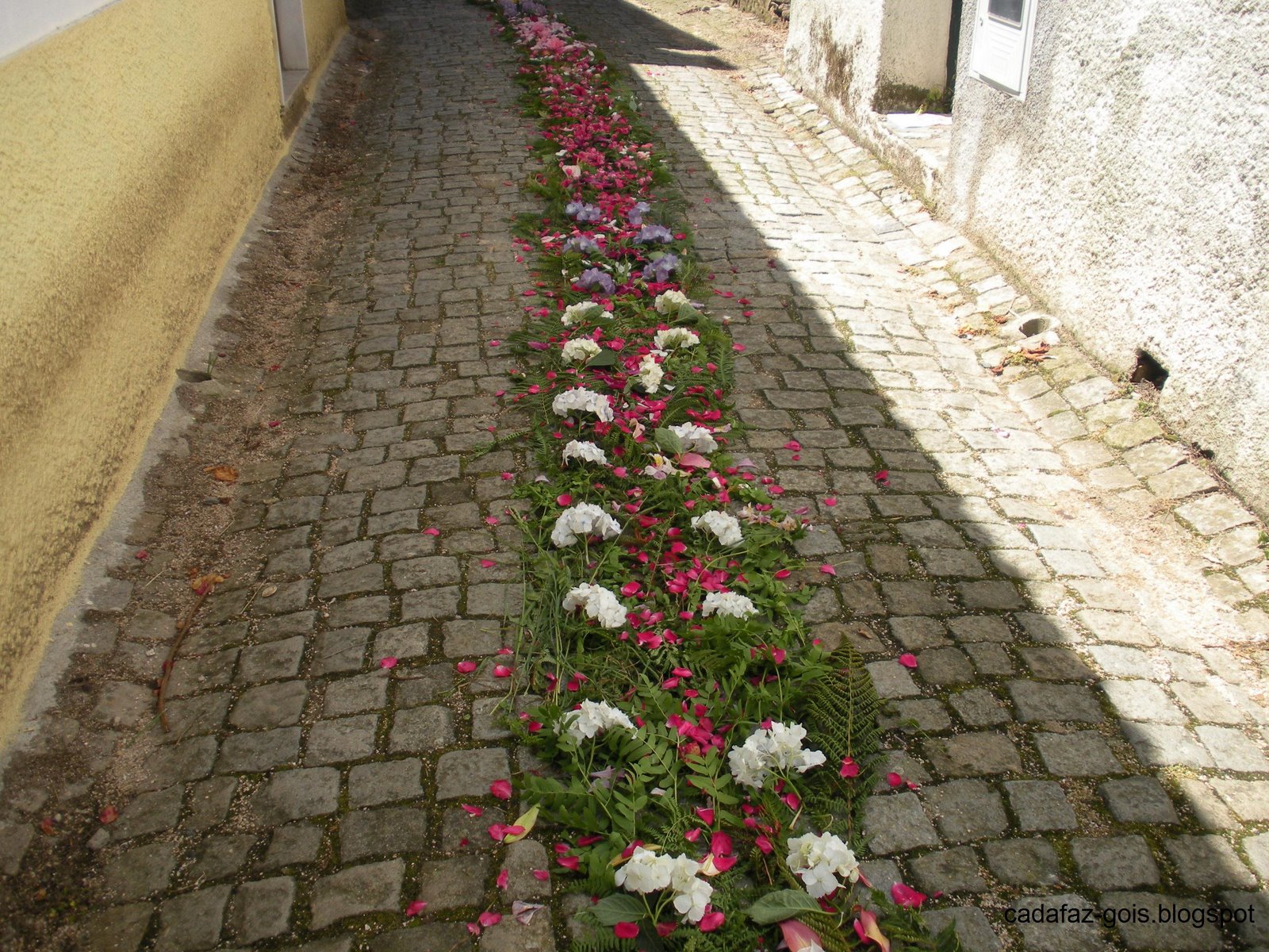 [DSCN0467.JPG]