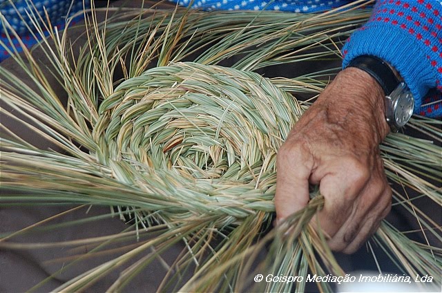 [0Gois+property++014.JPG]