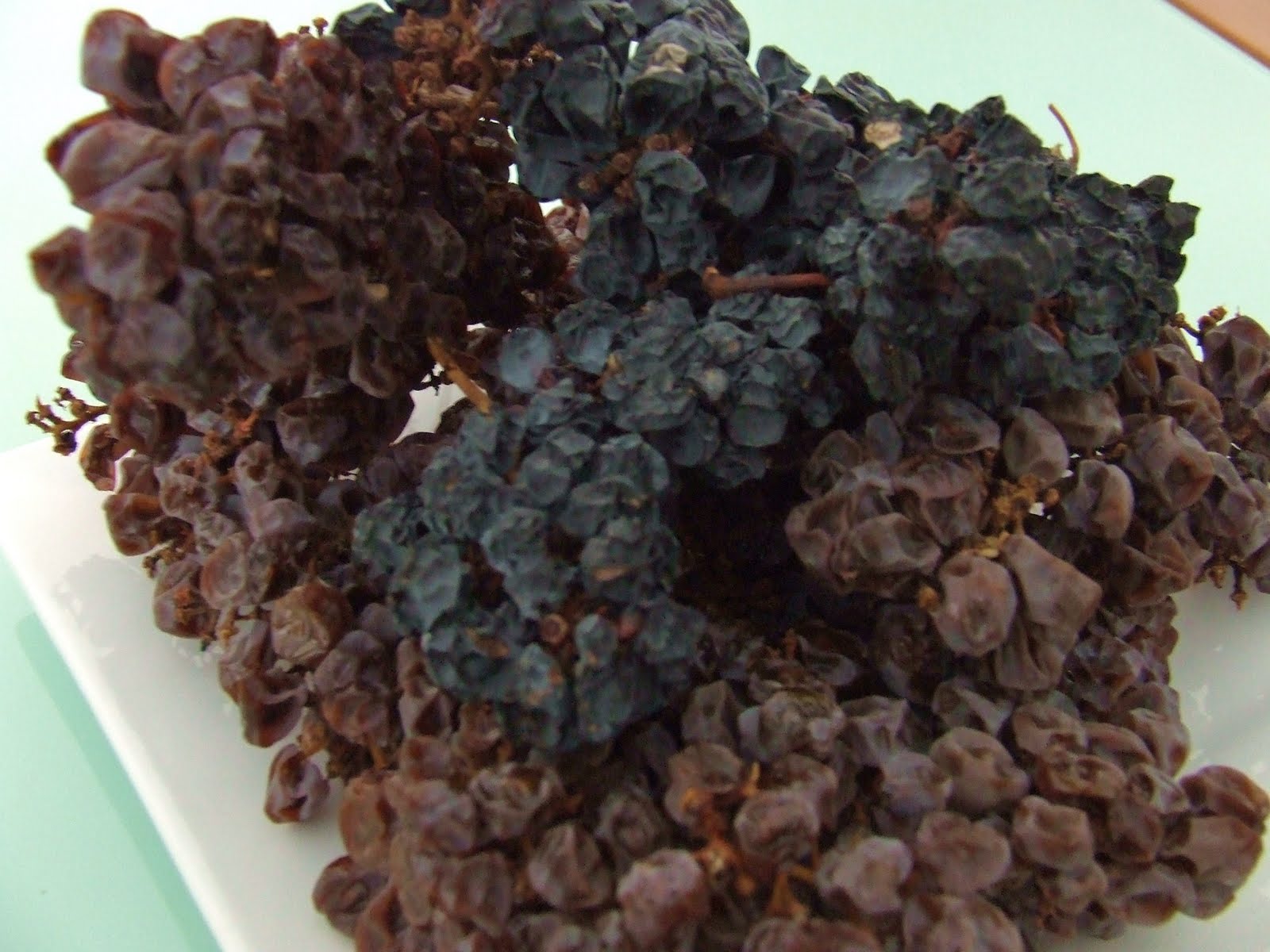 [2009_0929UvasDesidratadas0001.JPG]