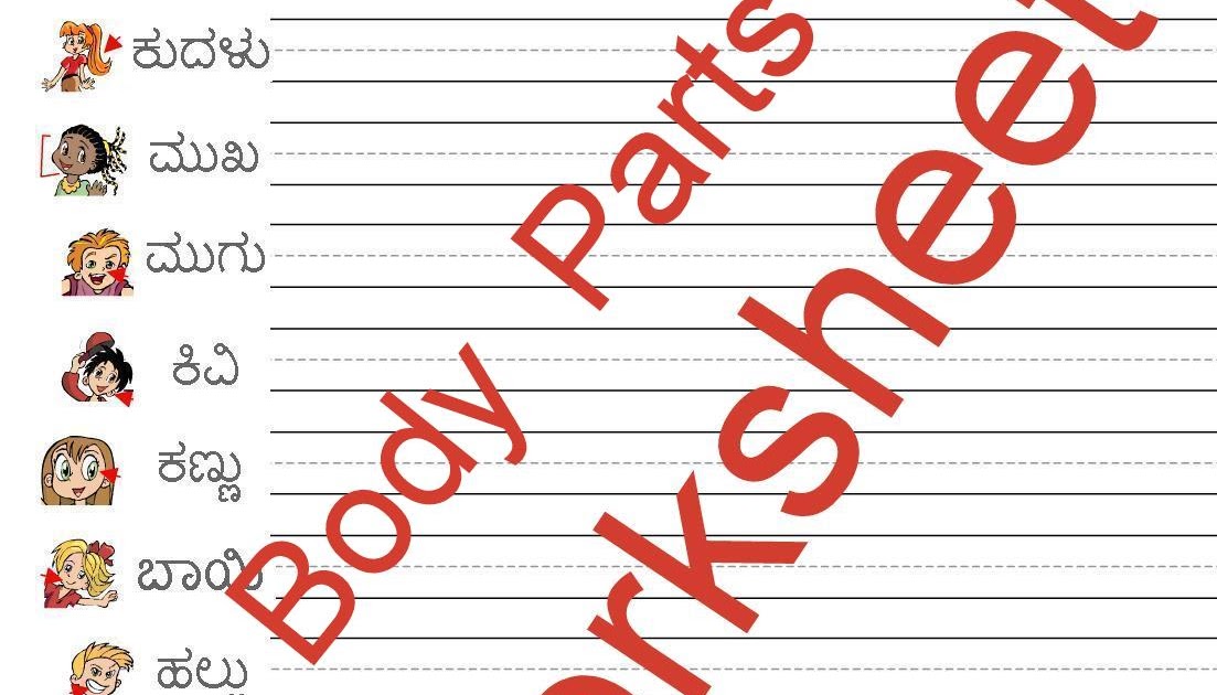 parts of body name in english and kannada