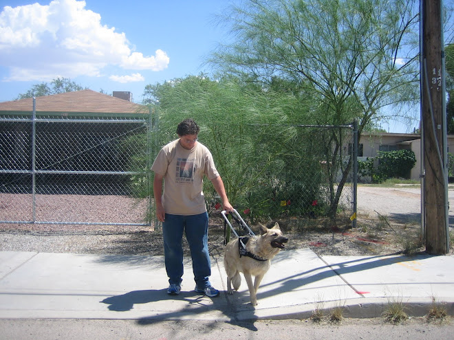 Nick and Shaman crossing at a curb cut