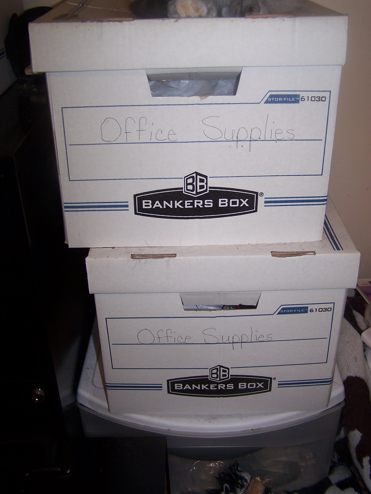 Filing+box+staples