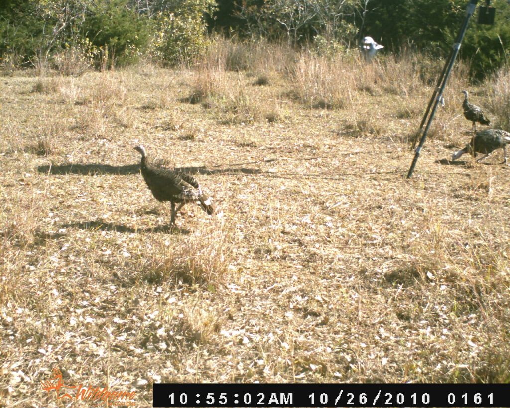 Unexplained Phenomena Photos