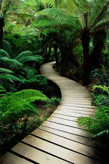 Wallpapers For Keypad Mobile Phones