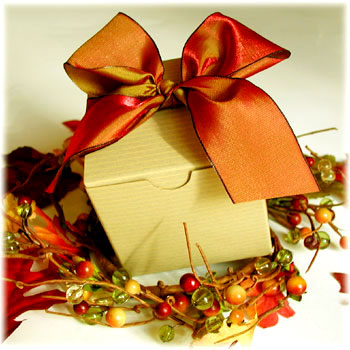 [Model+Fall+Box.jpg]