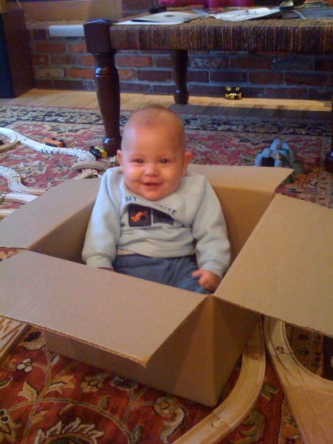 Luke in a box