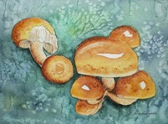 "Mushroom Family"