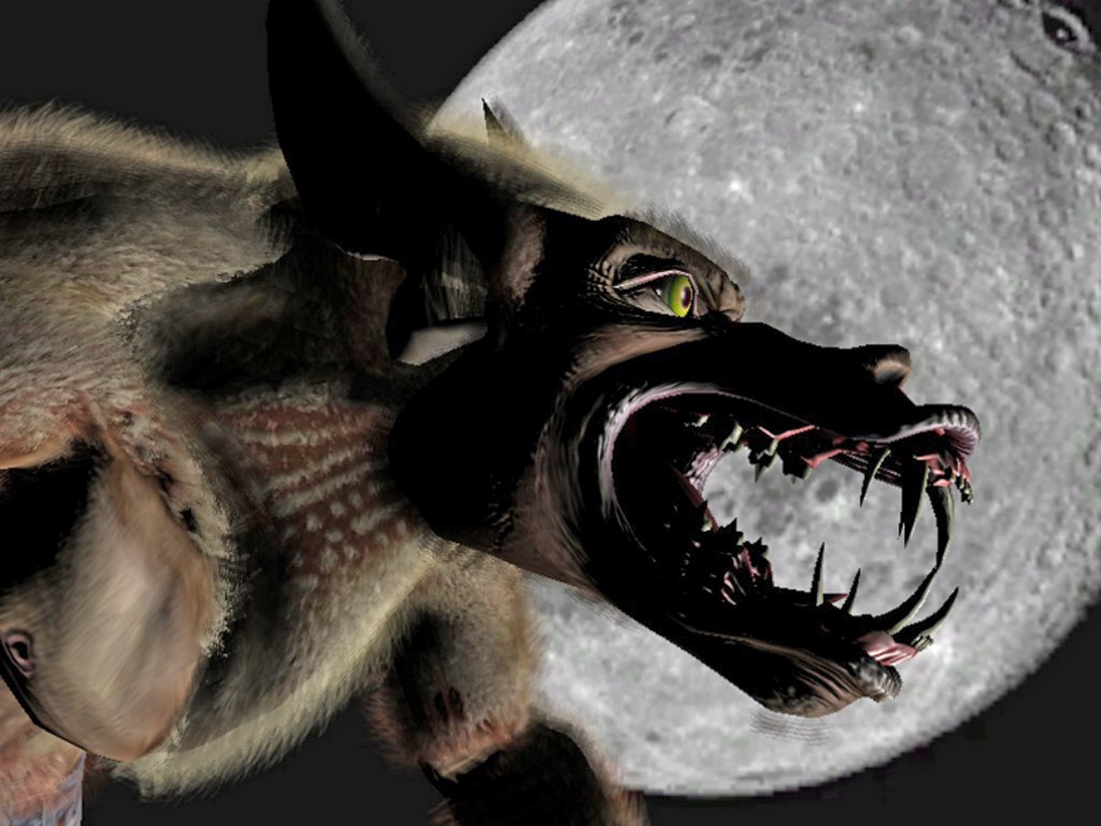 [Wolf+Werewolf.jpg]
