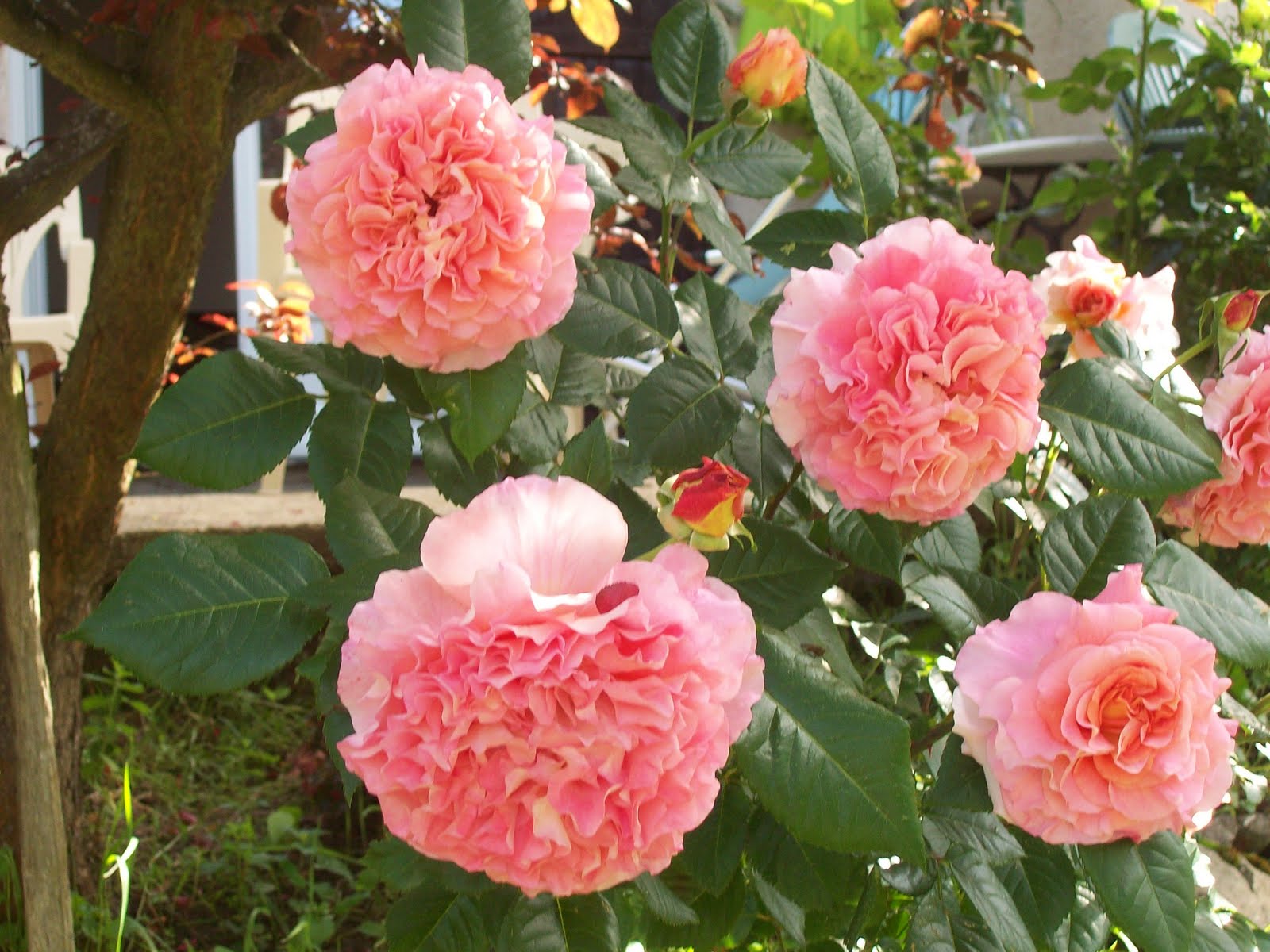 lecture analytique voyage au bout de la nuit