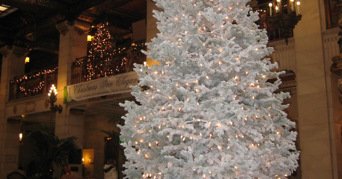 Sip of Spokane Cheers to Christmas Tree Elegance at the decadent Davenport Hotel.