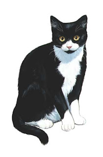 Costura Jo Cat Com Costura Jo Cat Com
