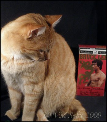 [catendorsed.jpg]