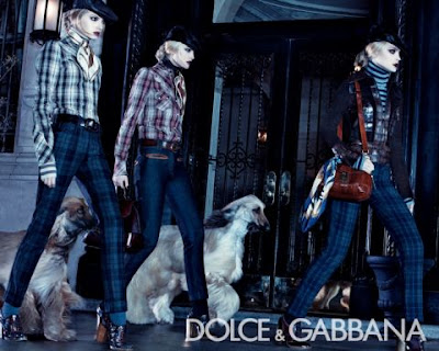 Dolce & Gabbana. dolce e gabbana FW0809 via