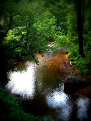 The creek below