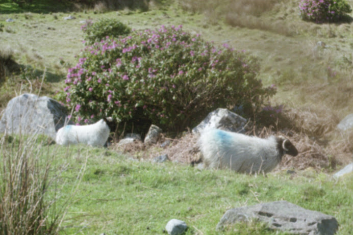 Connemara region, Ireland