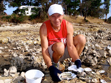 Réal à la pêche aux huîtres sur Bruny Island