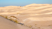 Magnifiques dunes de Cap Keraudren