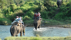 En route pour le safari elephant !