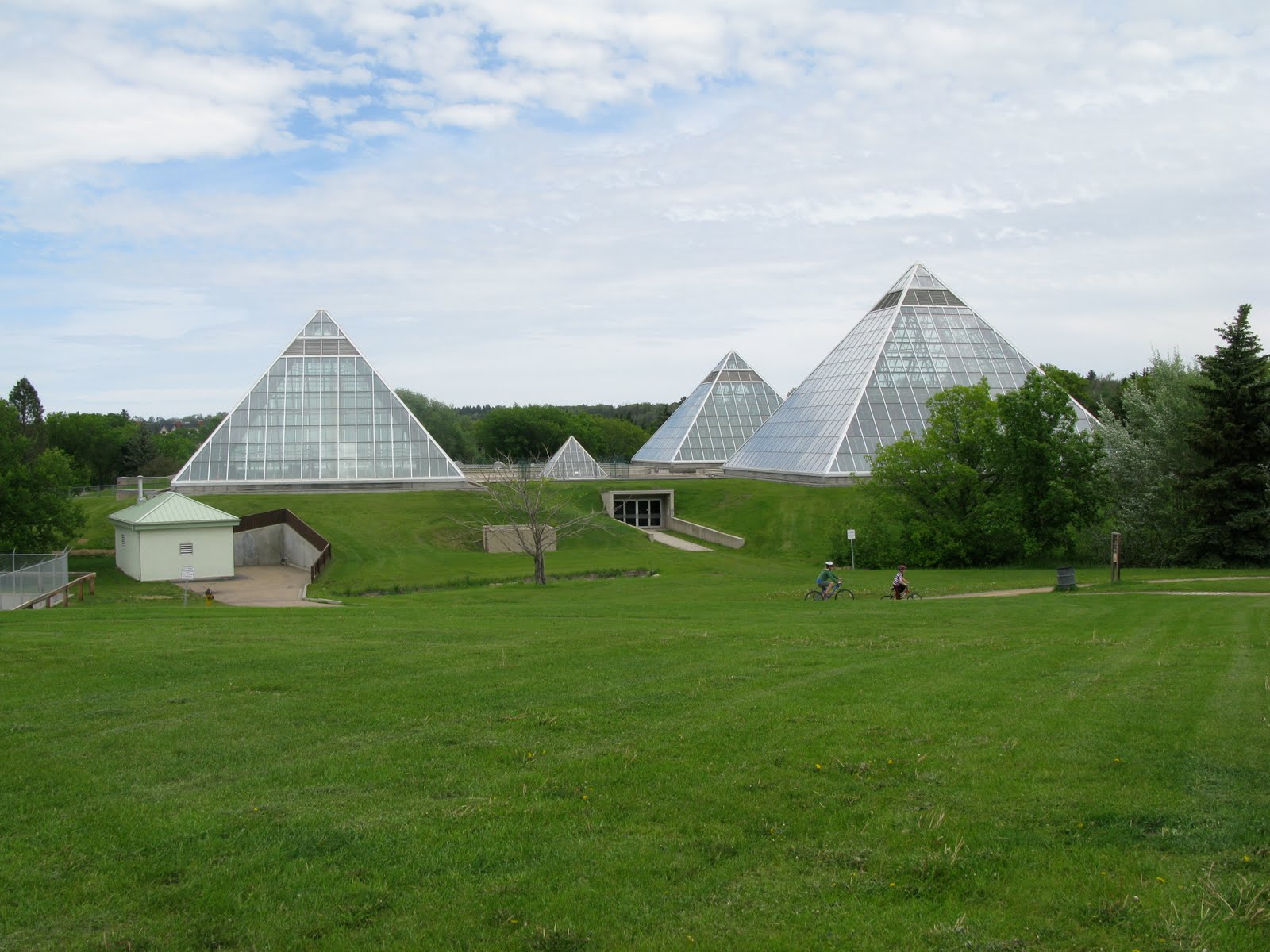 The Wandering Stitch Day 6Enjoying Edmonton