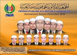 BP PMRAM 2010