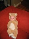 Teddy Bear Emmett