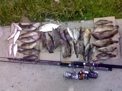 Joran Ikan
