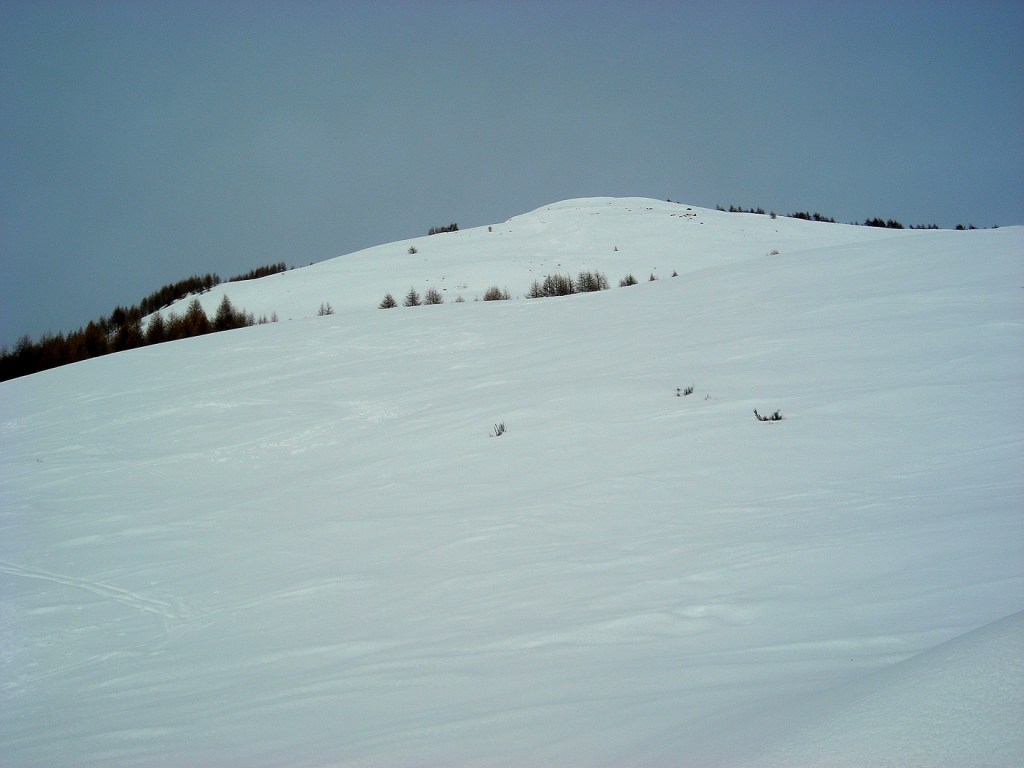 [DSCN3182.JPG]