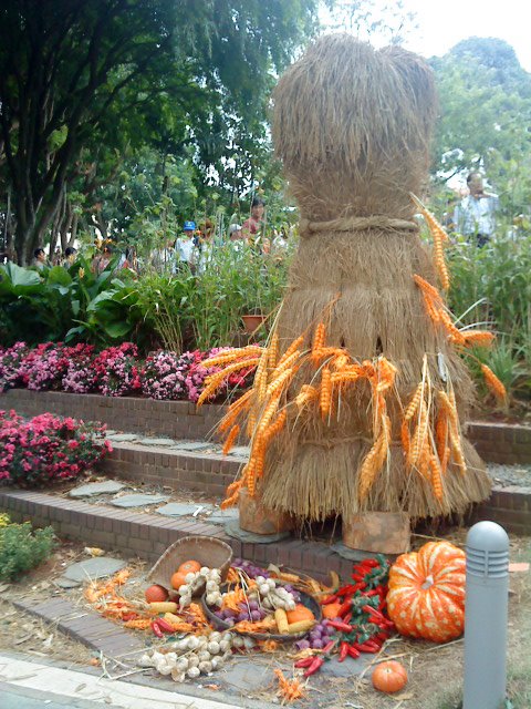 [DSC00293.JPG]
