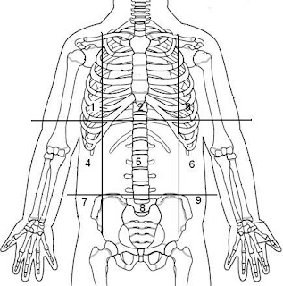 Hypochondriac Region