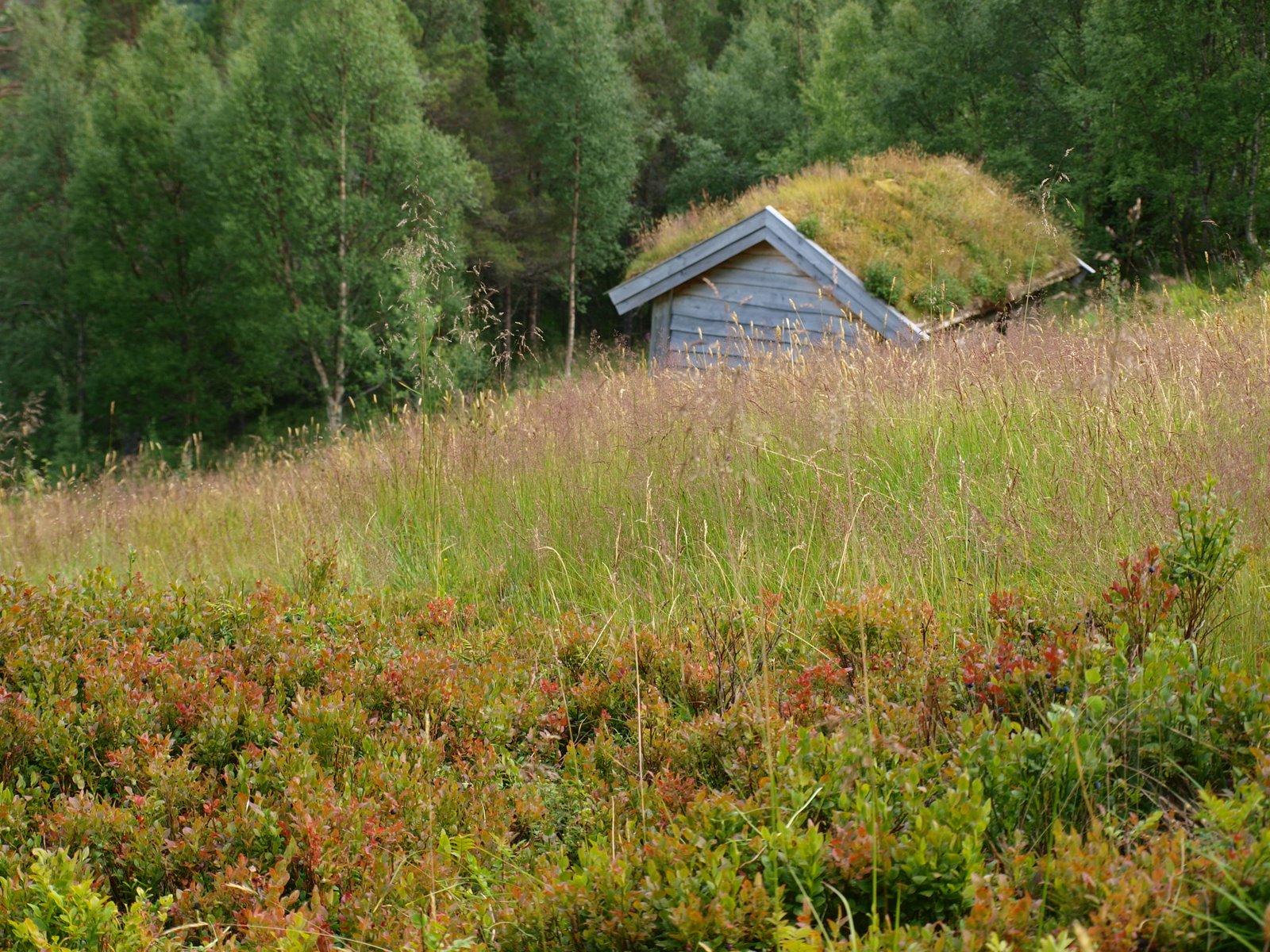 [P7162258.JPG]