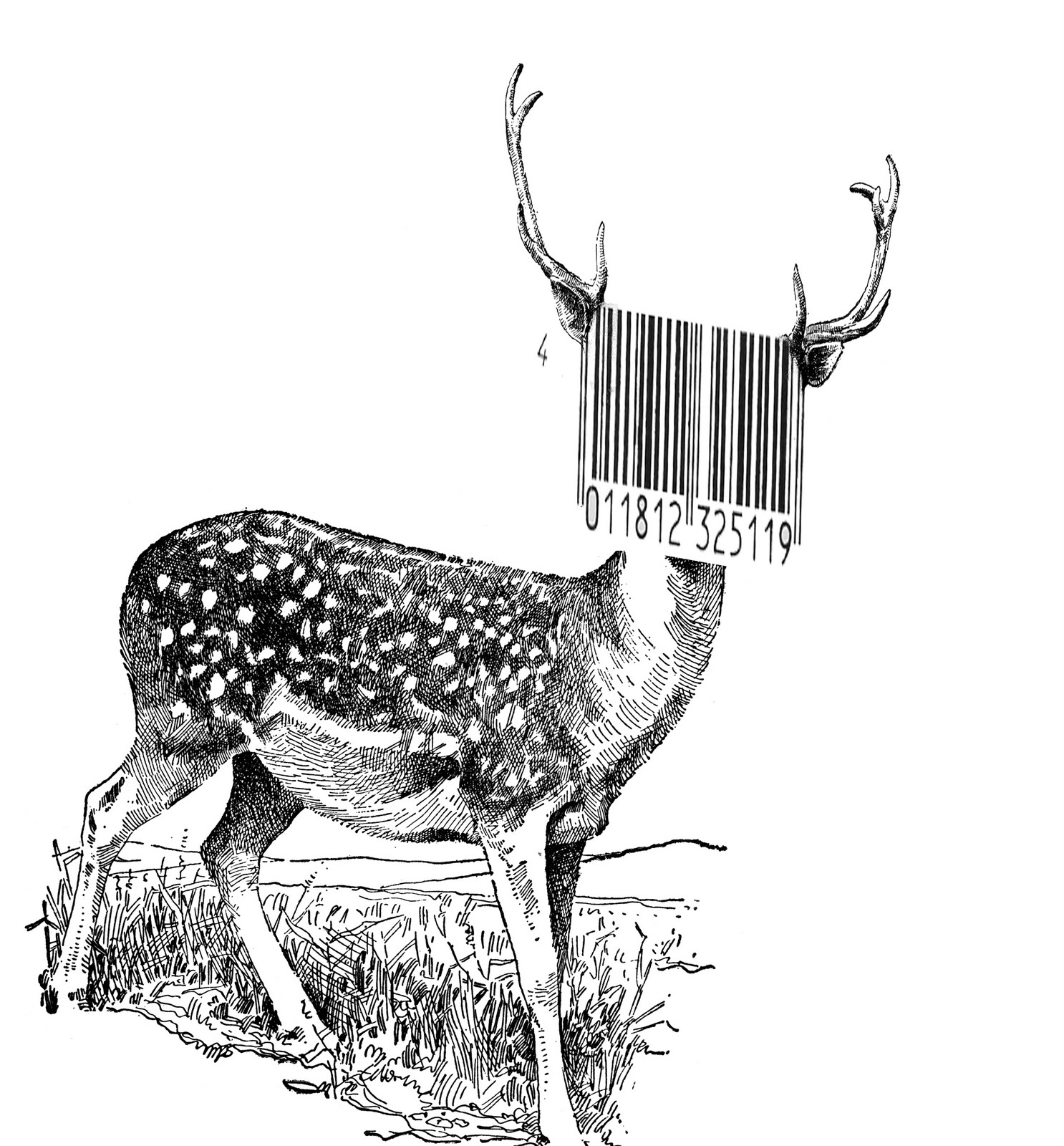 Fake Barcode