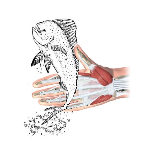 [fish.JPG]