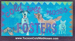 Cold Wet Noses Fosters