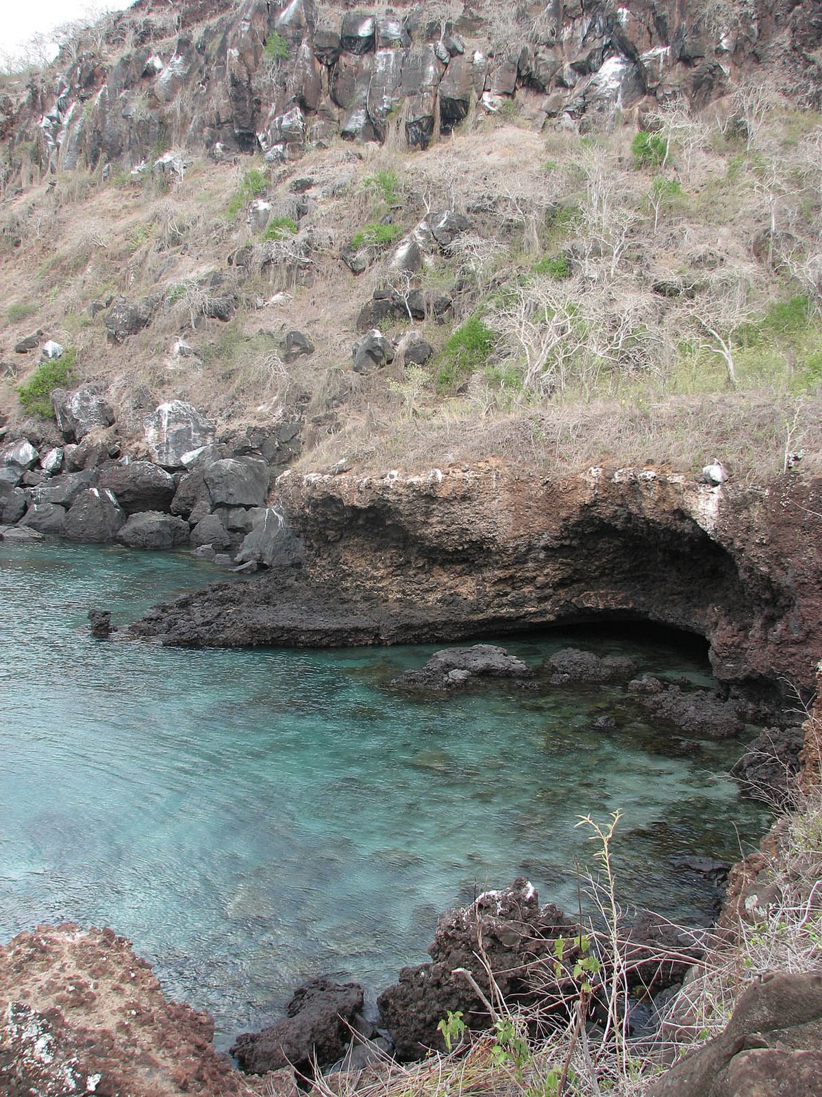 [The+Cove.jpg]