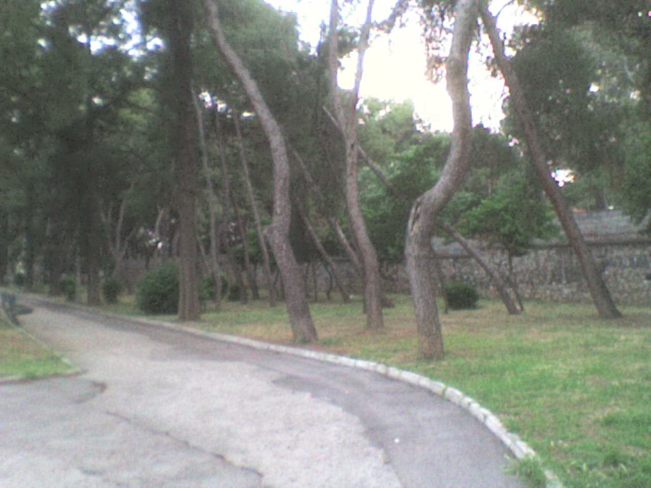 [DSC00346.JPG]