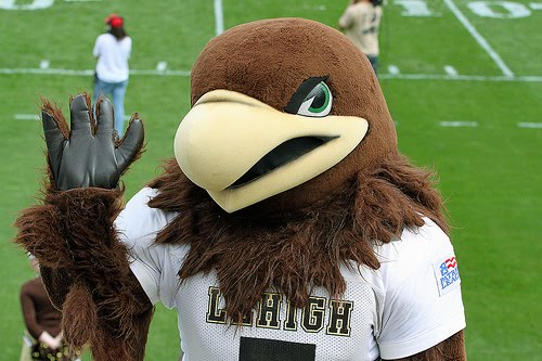 lehigh mascot university college underdog he valley obamanomics thursday clutch major mid right odd looks deny wait yes