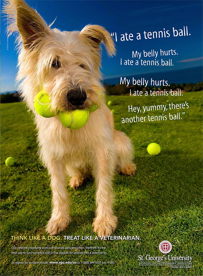 vet ad
