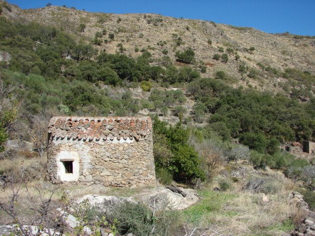 [DSC01781.JPG]