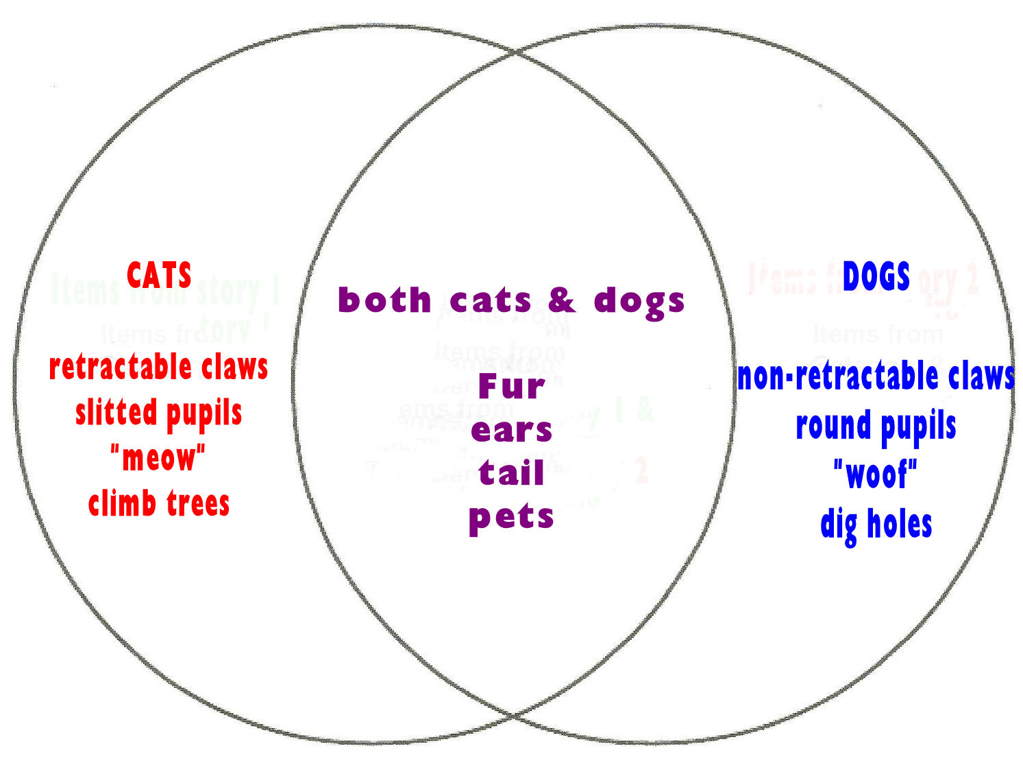 cats and dogs venn diagram magdalene project org cats and dogs venn diagram
