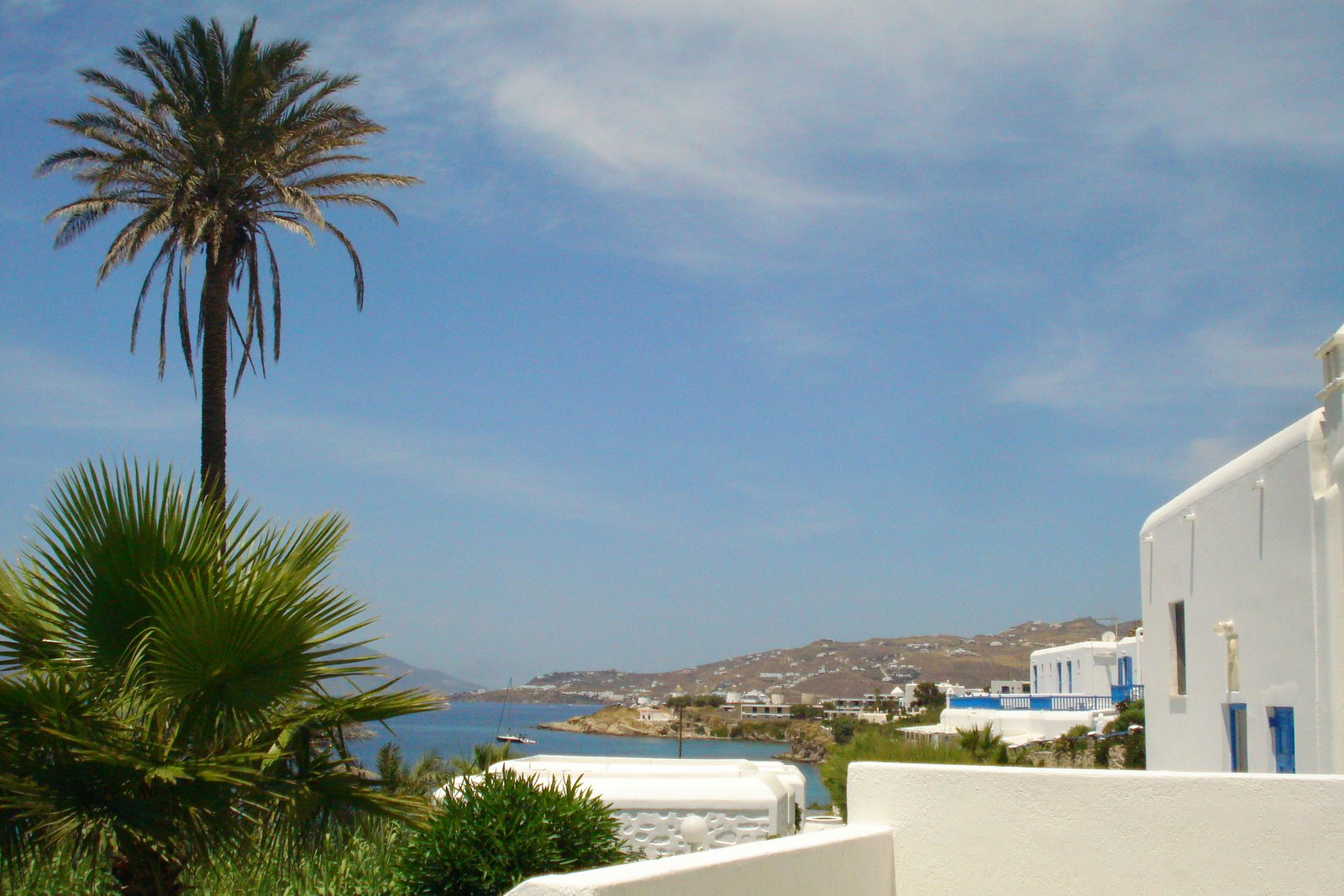 [DSC09274.JPG]