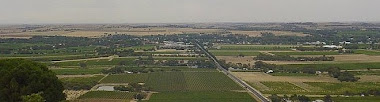 Looking west across the Barossa from Mengler's Hill